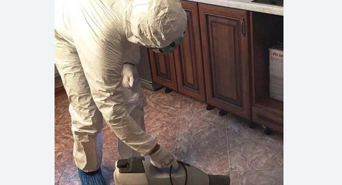 Уничтожение тараканов в квартире. Проспект Ветеранов